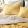 BAGOKIE Bedding Set with Comforter and Pillow Sham for All Season - 3 of 4