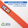 Recycled Reflective Dog Leas - 3 of 4