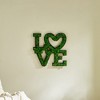 Gulches LOVE Letter Art Moss Wall Decor - Eco-Friendly & Charming Accent - 3 of 4