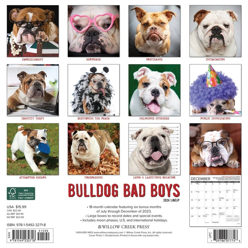 Willow Creek Press 2024 Wall Calendar 12&#34;x12&#34; Bulldog Bad Boys, 2 of 4