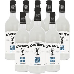 Owen’s Craft Mixers | Handcrafted in the USA with Premium Ingredients | Vegan & Gluten-Free Soda Mocktail and Cocktail Mixer - 1 of 2