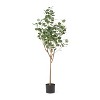 Racxily Artificial Tree,  Fake Potted Tree Silk Faux Eucalyptus Tree - 4 of 4