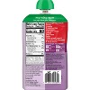 Plum Organics Mighty 4 Apple Blackberry Purple Carrot Greek Yogurt & Oat Baby Food Pouch - (Select Count) - 2 of 4