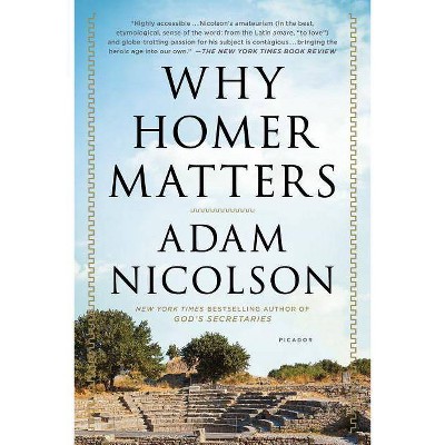 Why Homer Matters - by  Adam Nicolson (Paperback)