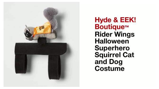 Rider Wings Halloween Superhero Squirrel Cat and Dog Costume - Hyde & EEK! Boutique™, 2 of 7, play video