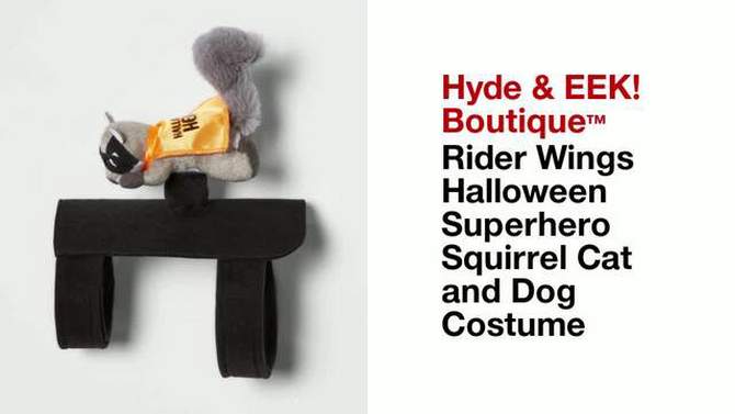 Rider Wings Halloween Superhero Squirrel Cat and Dog Costume - Hyde & EEK! Boutique™, 2 of 7, play video