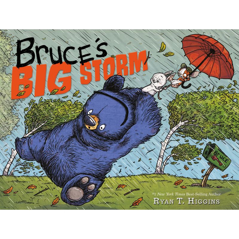 Bruce's Big Storm -  (Mother Bruce) by Ryan T. Higgins (Hardcover), 1 of 2