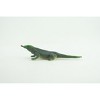 North American green anole Lizard, Rubber Reptile, Hand Painted, Educational, Realistic, Model, Replica, Toys,   2 1/2 Inches.    WR37 B197 - 4 of 4