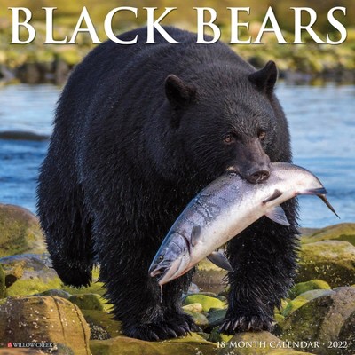2022 Wall Calendar Black Bears - Willow Creek Press