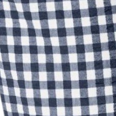 navy gingham