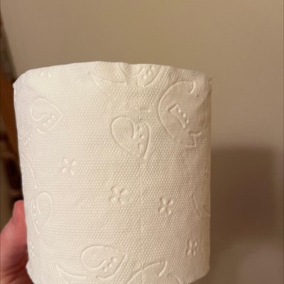 Guest review image 1 of 3, zoom in