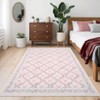 Modern Area Rugs Diamond Floor Mats with Non-Slip Backing - 4 of 4