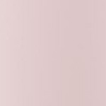peach rose pink
