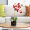 Forever Leaf Alabama State Faux Orchid, Indoor Artificial Plant for Home Decor - 4 of 4