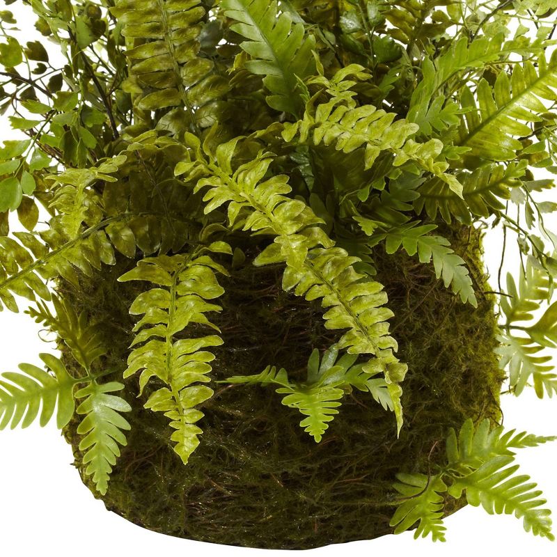 13&#34; x 17&#34; Artificial Fern Plant with Twig and Moss Basket- Nearly Natural, 3 of 5