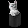 Junior's Design By Humans Pocket Kitten By Mitxeldotcom T-Shirt - 2 of 3