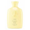 Oribe Hair Alchemy Resilience Shampoo, 2.5 oz & Oribe Hair Alchemy Resilience Conditioner, 1.7 oz DUO - 3 of 4