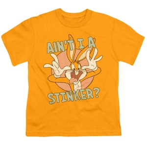 Boys' Looney Tunes Aint I A Stinker T Shirt - 1 of 4