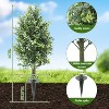 2Pcs Artificial Boxwood Plants with Ground Spikes, Outdoor Faux Topiary Tree, UV Resistant Shrubs for Garden Patio Porch Yard Decor - 2 of 4