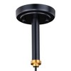 Vaxcel Kassidy 1 - Light Pendant in  Black - 3 of 4