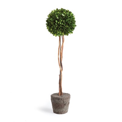 Plum & Post Boxwood Single Sphere Topiary Drop-In 24"