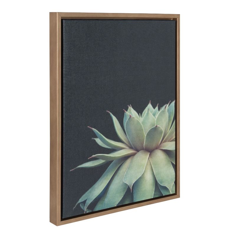 Sylvie Succulent Framed Canvas by F2 Images - Kate and Laurel, 2 of 6