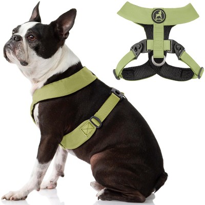 Gooby Comfort X Harness Dual Snap, Green, Large