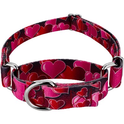 Country Brook Petz Romantic Hearts Martingale Dog Collar (1 Inch, Large)