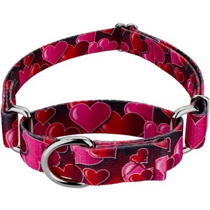 Country Brook Petz Martingale Dog Collar - Affection Collection - 1 of 4