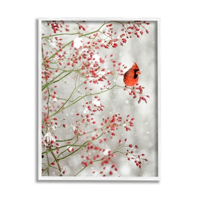 Stupell Industries Cardinal Seasonal Holly Berries Framed Giclee Art
