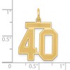 Black Bow Jewelry 14k Yellow Gold, Jersey Collection, Medium Number 40 Pendant - 3 of 4