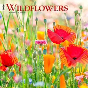 BrownTrout Wildflowers 2026 12"x24" Hanging Square Wall Calendar Plastic-Free - 1 of 4