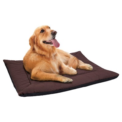 paws and pals elevated pet bed