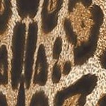 leopard black