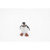 Collectible Wildlife Gifts | Penguin, Gentoo, Very Nice Plastic Reproduction, Hand Painted    1 3/4"   OK23 B618 - 4 of 4