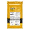 Audubon Park 10lb Black Oil Sunflower Wild Bird Food: Energy-Rich, Easy-to-Open Seeds, Attracts Variety - 2 of 3