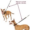 Leashboss 18" Bungee Leash Extension, Shock Absorbing Lead Extender - 4 of 4