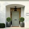 24" Artificial Topiary Boxwood Ball Trees, Set of 2 UV Resistant Plants, Faux Boxwood with Pots for Front Porch, Indoor Walkway, Entryway Decorating - 3 of 4