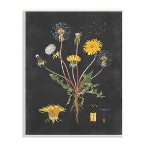 Stupell Industries Botanical Drawing Dandelion On Black Design Wall Plaque Art, 10" x 15" - 1 of 4