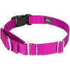 Country Brook Petz Heavy Duty Nylon Martingale Dog Collar with Deluxe Buckle - 30+ Vibrant Color Options - 4 of 4