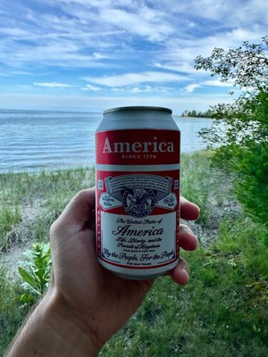 BUDWEISER 24PK CANS 288FLOZ : Target