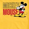 Men's - Disney - Mickey & Friends Short Sleeve Graphic T-Shirt - 2 of 4