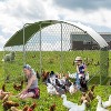Metal Chicken Coop, Walk-in Poultry Cage,Chicken Run Pen House with Reinforcement & Waterproof & Anti-Ultraviolet Cover Chicken Coop Run - 4 of 4