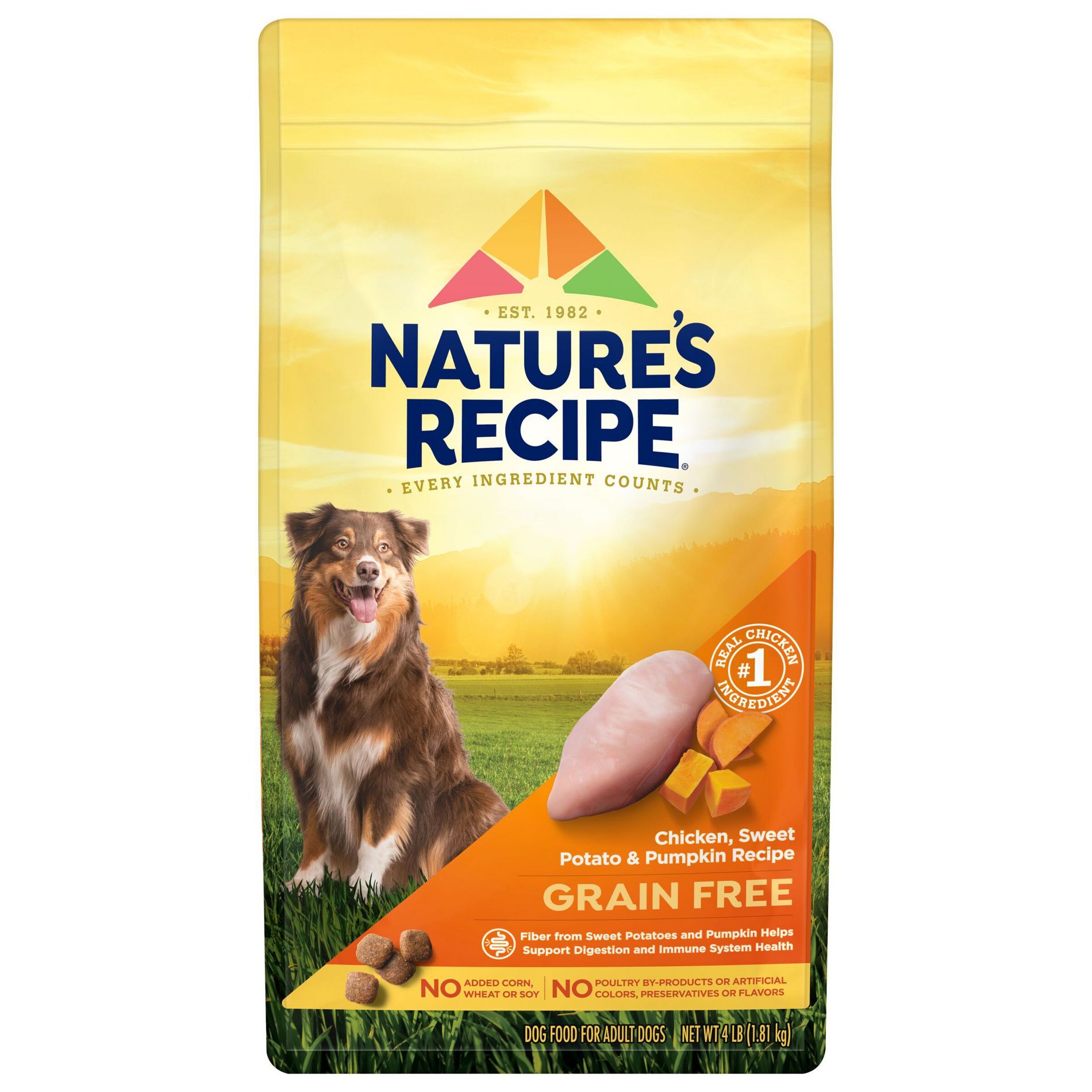Nature's Recipe Grain Free Chicken, Sweet Potato & Pumpkin Recipe Adult Dry Dog Food