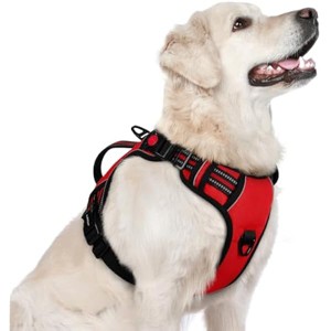 rabbitgoo Dog Harness for Large Dogs, , Easy Walking Harness with 2 Leash Clips, Red, L - 1 of 1