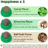 Potaroma 3 Catnip Balls and 3 Silvervine Sticks Cat Toys Bundle - 2 of 3