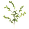 Leafy Limb Stem – 40"H Artificial Greenery with Bendable Leaves, EVA Foam & Wire Construction (Set of 6) By Kalalou - 3 of 3