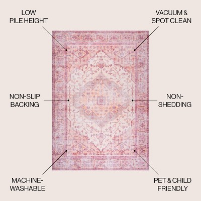 Alacati Medallion Red and Cream Flat Woven Synthetic Area Rug