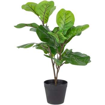 Northlight 26" Dark Green Artificial Potted Fiddle-Leaf Fig Plant
