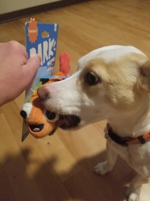 Bark Eduardo The Shrimp Taco Dog Toy : Target